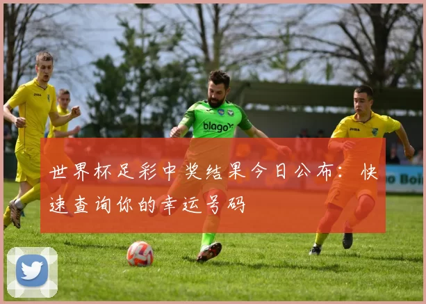 世界杯足彩中奖结果今日公布:快速查询你的幸运号码