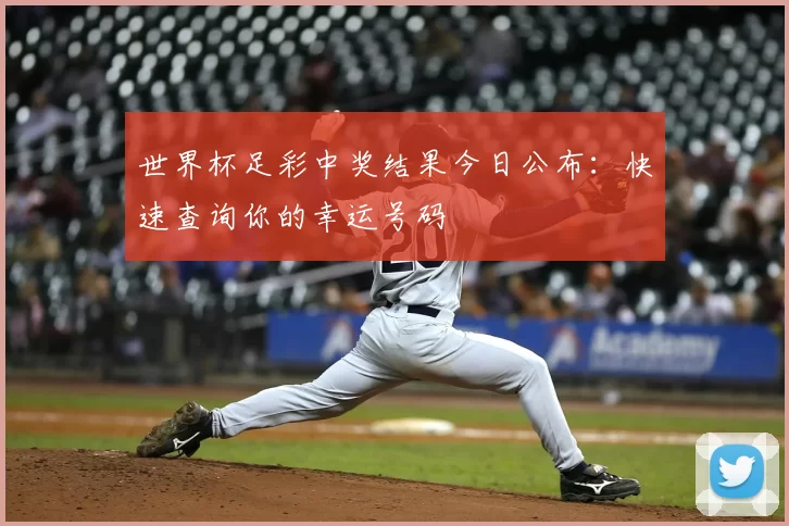 世界杯足彩中奖结果今日公布:快速查询你的幸运号码