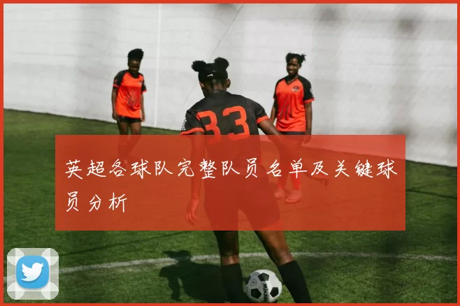 英超各球队完整队员名单及关键球员分析