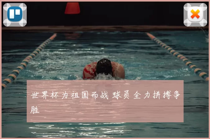 世界杯为祖国而战 球员全力拼搏争胜