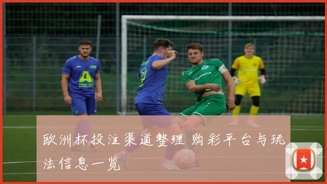 欧洲杯投注渠道整理 购彩平台与玩法信息一览