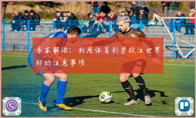 专家解读：利用体育彩票投注世界杯的注意事项
