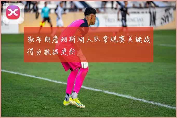 勒布朗詹姆斯湖人队常规赛关键战得分数据更新